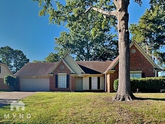 1351 Sandy Stone Ln, Memphis, TN 38016