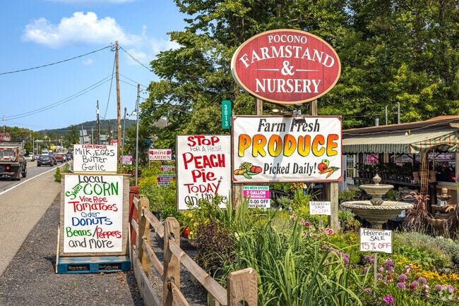 On Bartonsville’s Route 611, you can find local retailers like Pocono Farm Stand & Nursery.