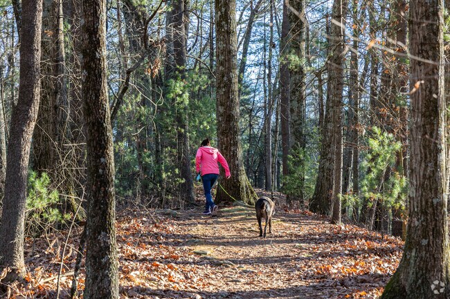 Great Brook Farms is a great place to hike or walk your dog on it's miles of hiking trails.
