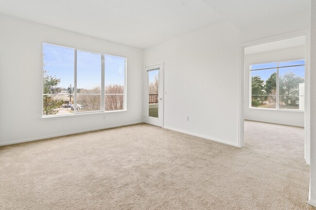 Homewood Point, Colorado Springs, CO 80903 - photo 4