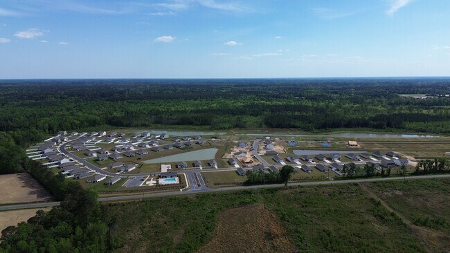 579 Strawberry Field Way, Galivants Ferry, SC 29544 - photo 7