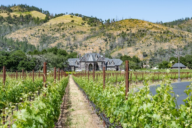 Ledson Castle Vineyard is an iconic destination in Santa Rosa.