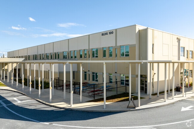 Meadow Woods Elementary believes in the importance of developing and supporting the whole child.