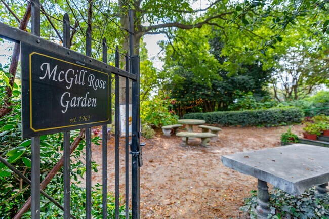 The McGill Rose Garden is a beautiful hidden gem with over 200 rose varieties in Optimist Park.
