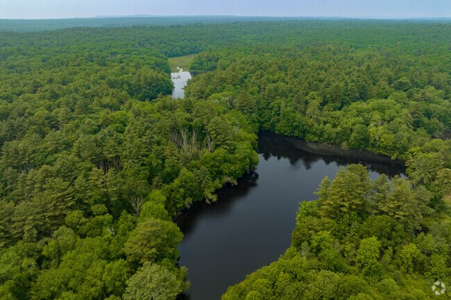Walk the many trails that Stoughton Memorial Conservation has to offer.