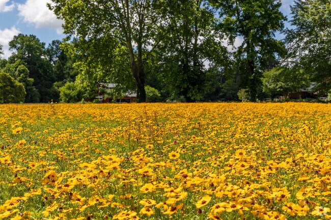 Meadows of wildflowers are part of the local beauty that surrounds the Meadow community.