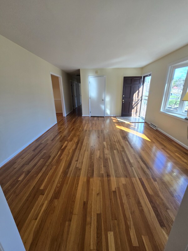 20716 Vernetta Ln, South Chesterfield, VA 23803 - photo 5