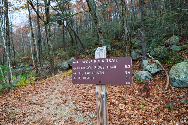Take a hike on a weekend with friends and explore the outdoors in Westminster.