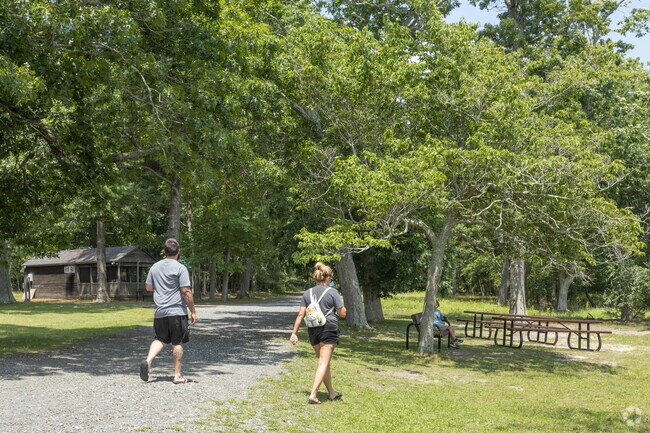 People enjoy hiking in the Wertheim National Refuge in North Bellport.