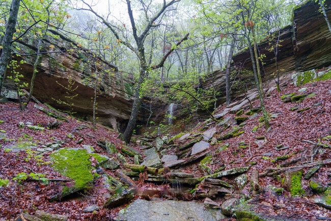 Enjoy the relaxed atmosphere and natural beauty that Poteau, Oklahoma, provides.