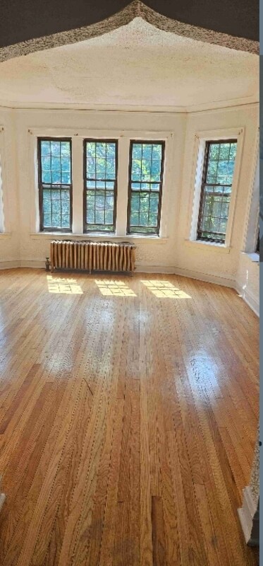 8119 S Vernon Ave Unit 2, Chicago, IL 60619