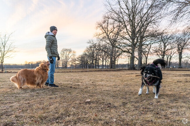 River Run Dog Park has separate play areas for large and small breeds.