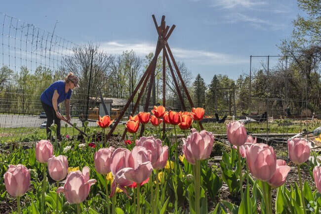 Tucked into Thompson-Mazzarella Park in Rhinebeck, the community garden adds a quiet burst of color that's always worth stopping during your walk.