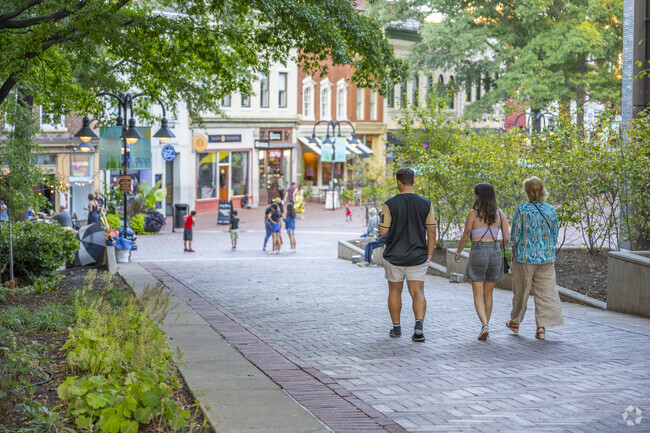 Travel 20 minutes west and check out the Mall in Charlottesville.