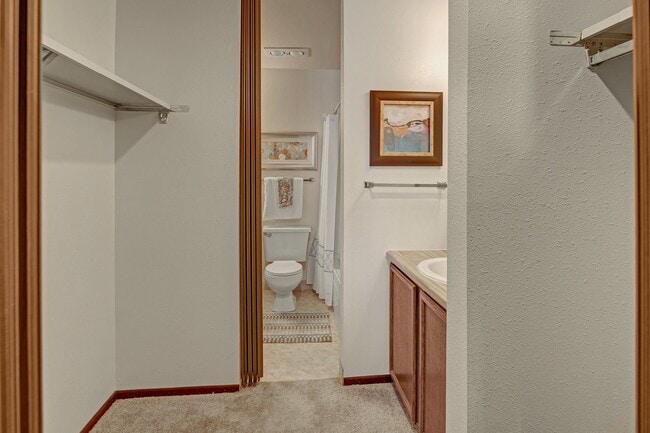 Alpine Bathroom