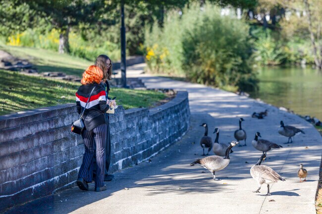 Birds gather near friends feeding them at Fairview Park’s serene water's edge.