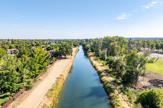 Tall trees provide shade throughout Kutras.