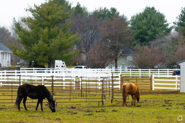 Colts Neck’s horse farms showcase the township’s rural heritage and open space.