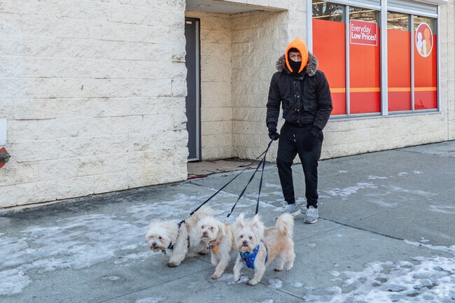 McLean Heights is dog friendly and you'll often see dog walkers throughout the day.