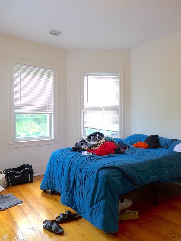 4 Fisher Ave, Roxbury Crossing, MA 02120 - photo 5