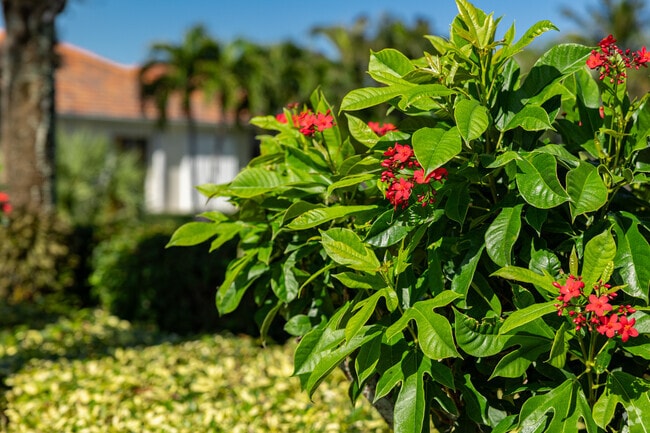 Bridgewater Bay is nicely maintained with lush landscaping and flowering shrubs.