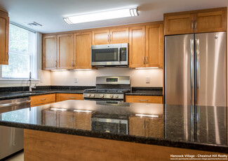226 Gerry Rd Unit 1, Chestnut Hill, MA 02467
