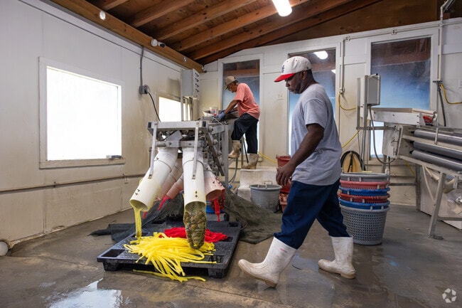 Many Crescent locals work in the seafood and processing industry.
