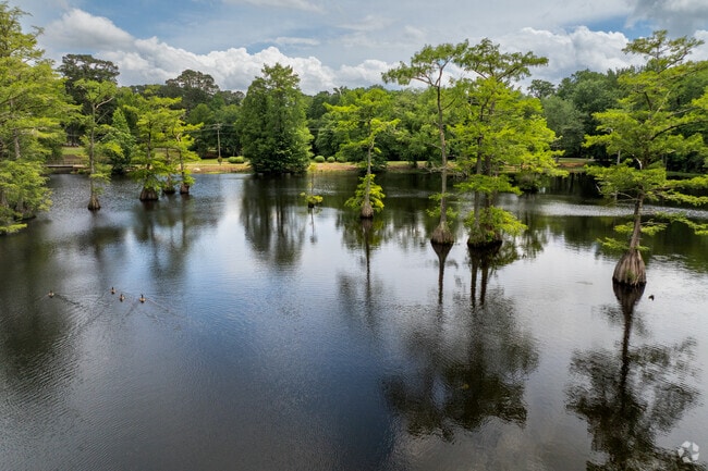 Cypress Cove Pond provides a tranquil natural retreat mere minutes from Franklin, Virginia.
