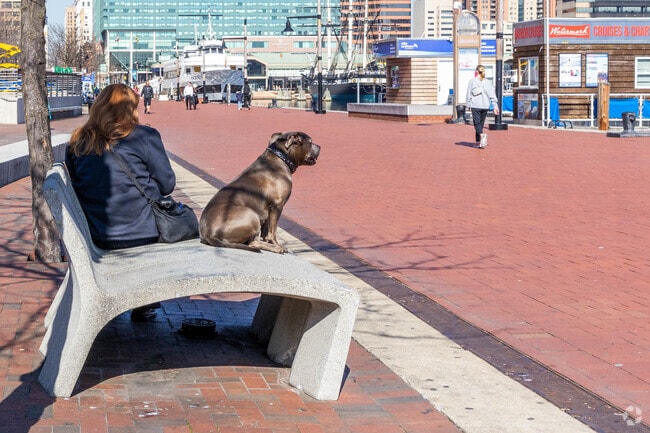 Evergreen pet owners can explore all Baltimore has to offer with their furry best friend.