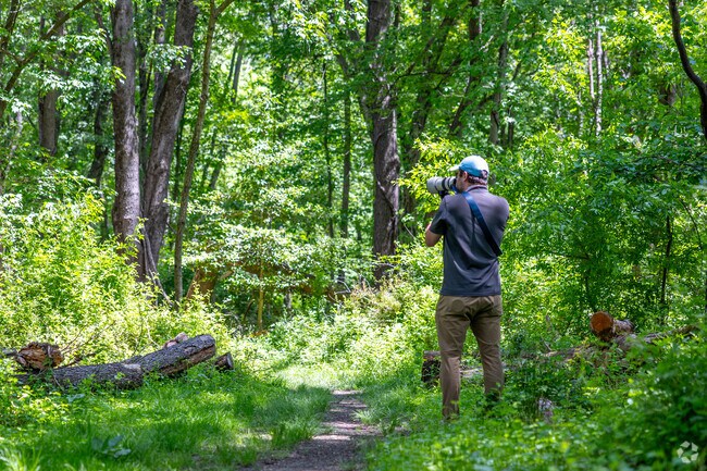 Bird photographers flock to the Kresson Trails to snap images of the local wildlife in Greentree.