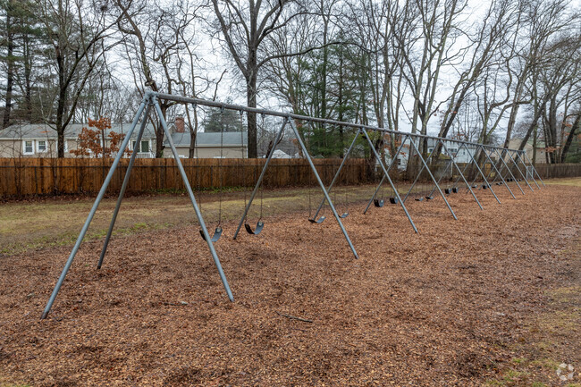 Hop on a swing at Thomas W. Hamilton Primary School in Weymouth.