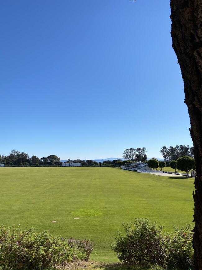 View of the polo field