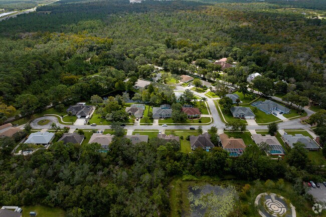 Lush trees surround an Ormond Beach neighborhood.