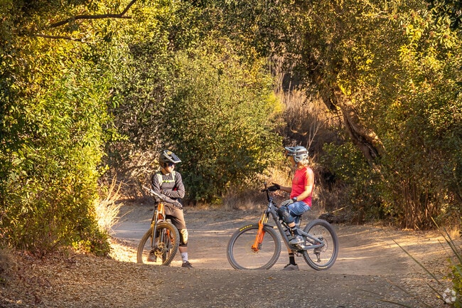 Whiting Ranch offers thrilling mountain biking trails through rugged, scenic terrain.