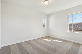 1202 Berry Brook Dr, Missouri City, TX 77459