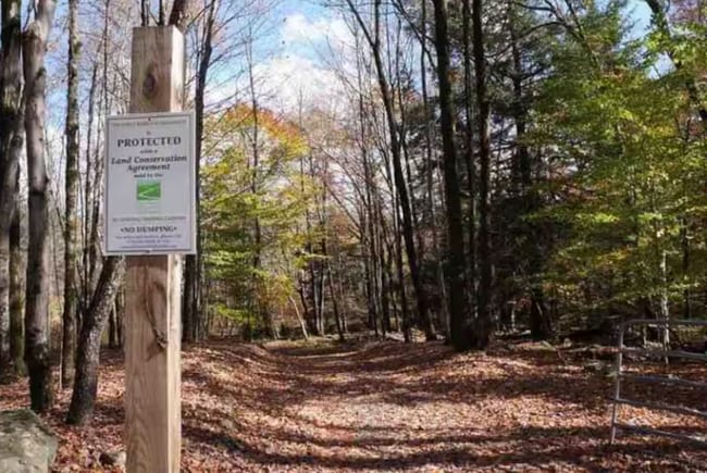 60 Ruth Way Rd, Bethel, NY 12778 - photo 7