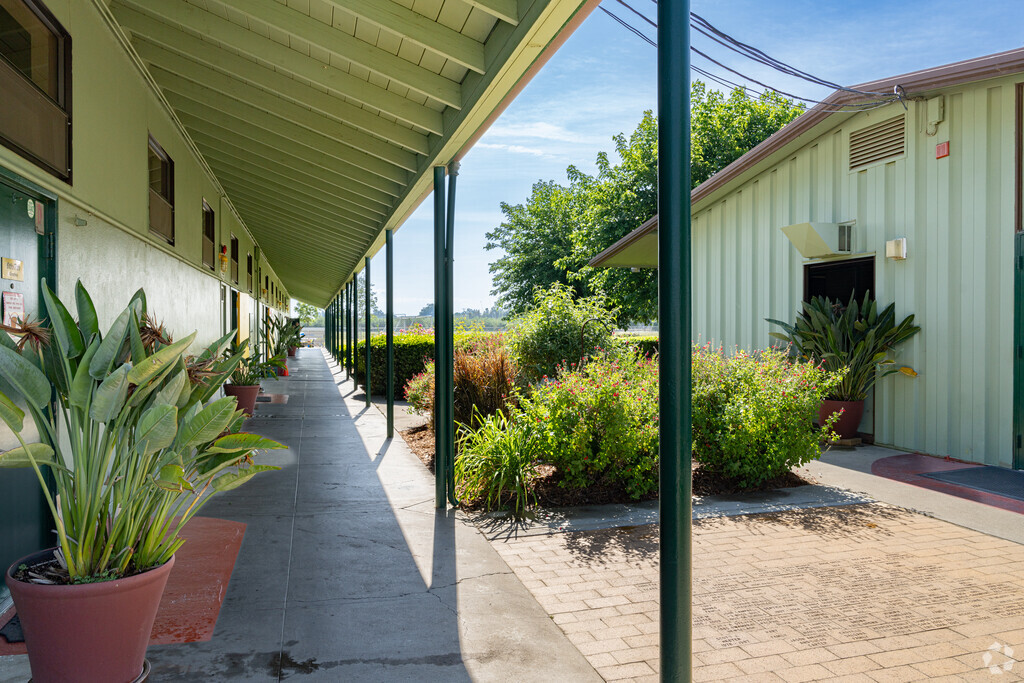 Outside Creek Elementary School takes pride in the plants and bushes throughout the campus.