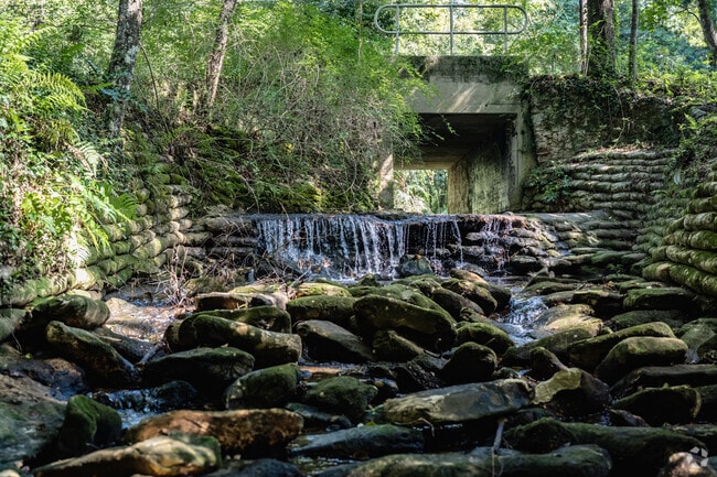 Koucky Park is full of greenery and water, making it the perfect place for residents to unwind.