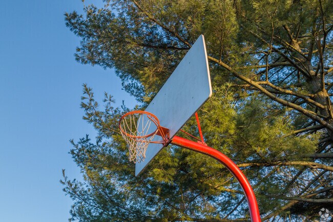Shoot some hoops at Ross Park in Mud Brook.