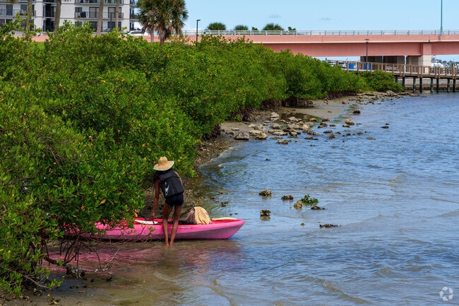 Minutes from Central Mainland, locals enjoy kayaking at Buena Vista Park.