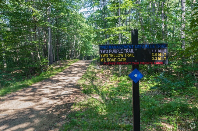 There are hiking opportunities in in the York Water District.