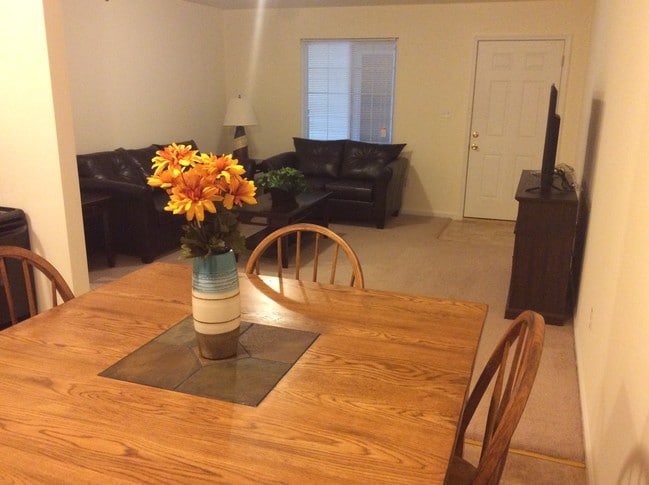 Pacific Village Apartments, Pacific, MO 63069 - photo 5