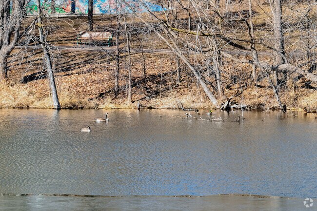 Marydale Park is one of the local parks in the North End area.