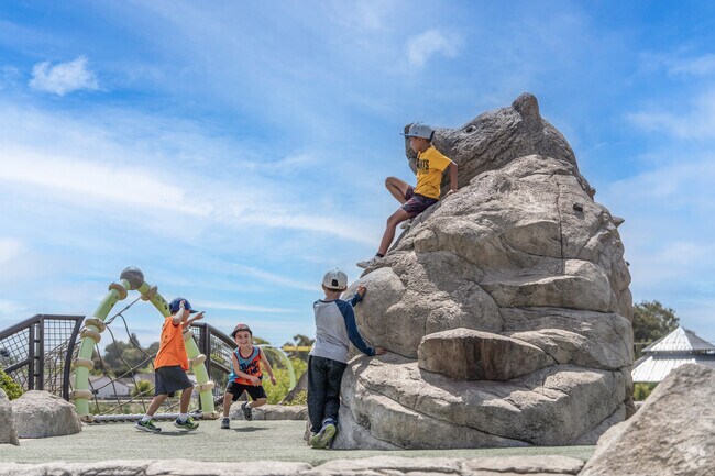 Large, naturally inspired play structures sit high above the Hayward Recreation and Park.