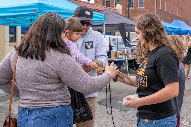 Church Row Saturdays are for local crafts and farm-fresh finds at Waterloo's farmers market.