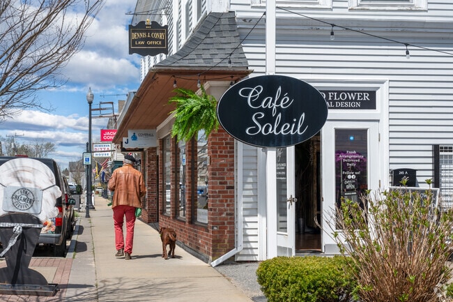 Locals walk their pets along aside Main Street's charming storefronts