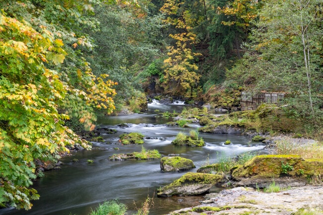 Enjoy beauty all around you when living in the Indian Summer residential area.