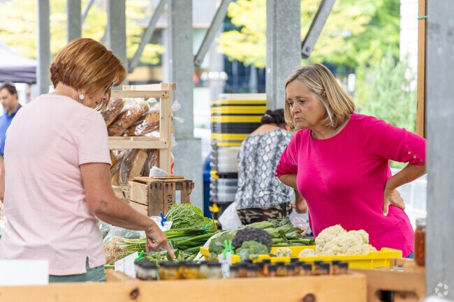 The Lexington Farmer's Market's peak season runs from April to October in Downtown Lexington.