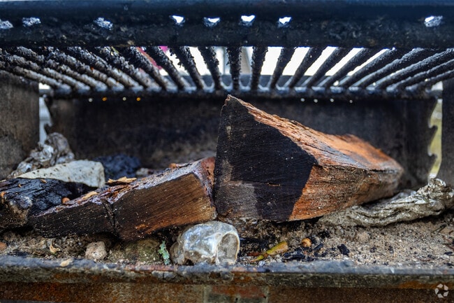 Locals of Cut and Shoot love barbecuing in one of the many local parks with friends and family.