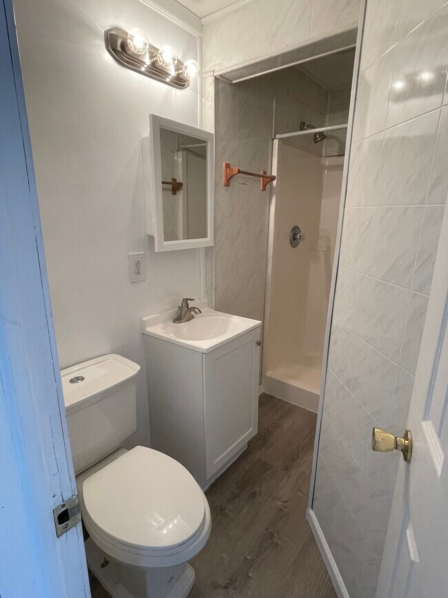 1003 S University Ave, Mount Pleasant, MI 48858 - photo 6